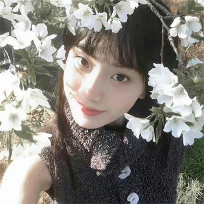 遛鸟家族